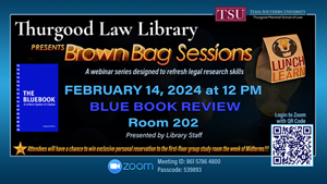 brown bag feb 14