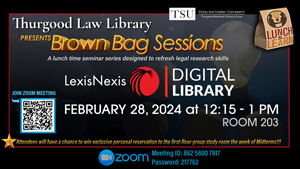 brown bag feb 28